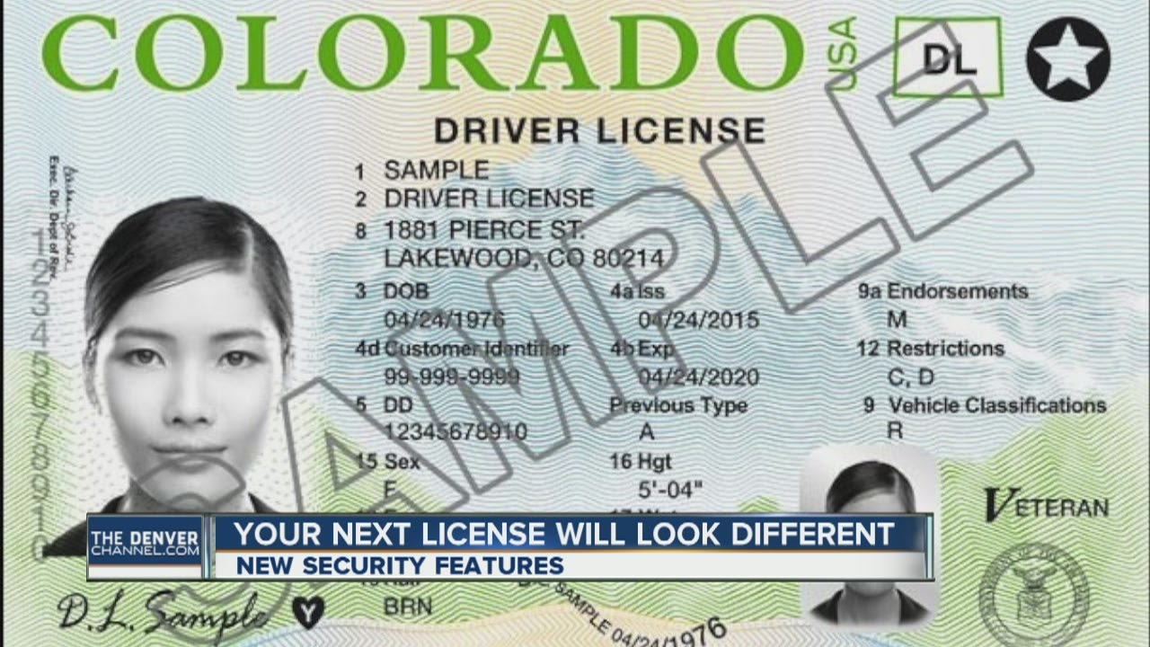 driver license search by number