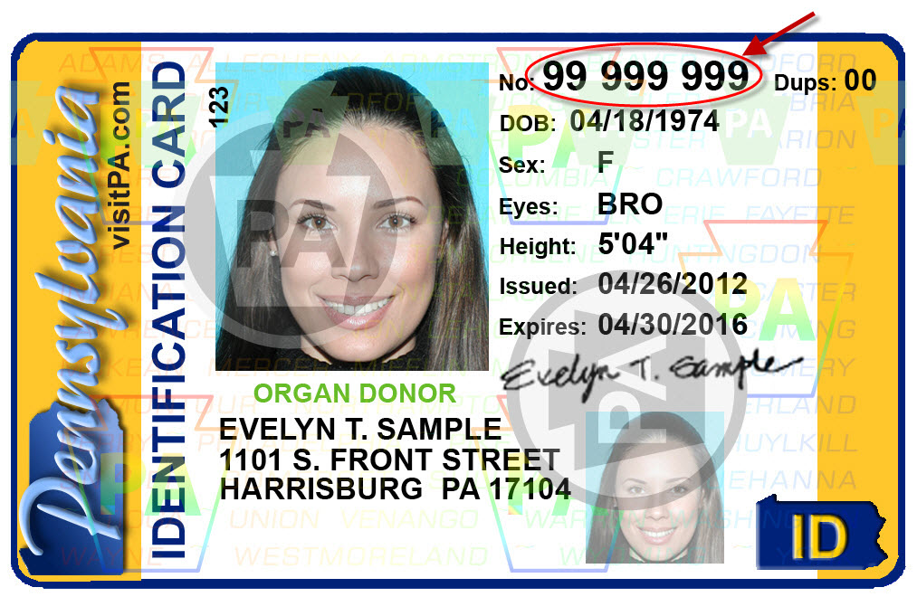 driver license search by number